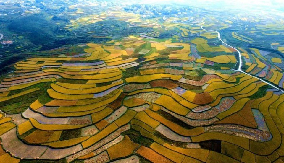 重庆这座城，凭什么成为世界第一而无愧!