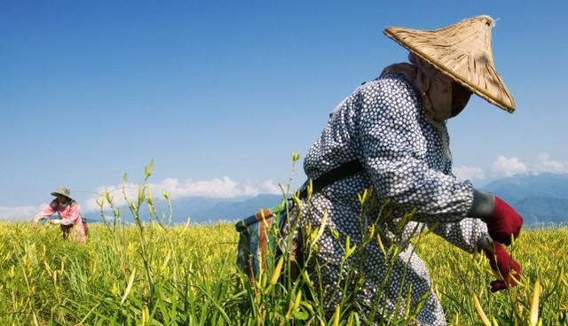 农村常说“头天胳膊二天腰,三天下来屁股烧”啥意思?