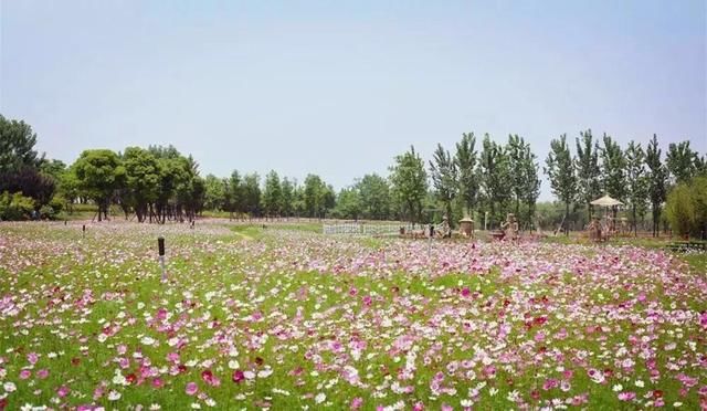 美翻了！五一这个地方必须曝光，门票还免费送！