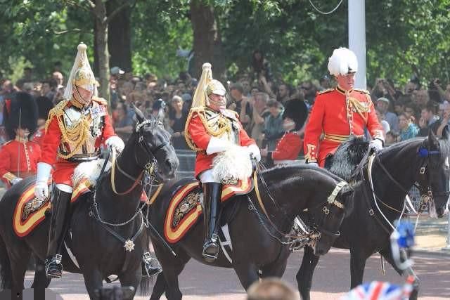 英国女王生日阅兵式上，79岁老帅当场落马