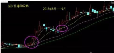 中国股市最大的“股灾”终于落下帷幕，机构从此将处在放大镜之下