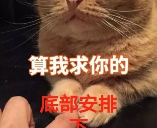 BF勇者+父母的爱+冒险板块+使魔 fg电子游戏官方网站