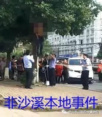 辟谣沙溪“一男子因偷芒果被树桠吊死”视频系谣言