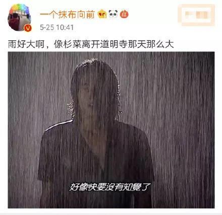 上海入梅啦!接下来请做好准备:蓝天白云,晴空万里,突然暴风雨……
