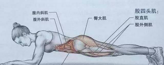 超过10秒的平板支撑毫无意义？真相都在这儿了！