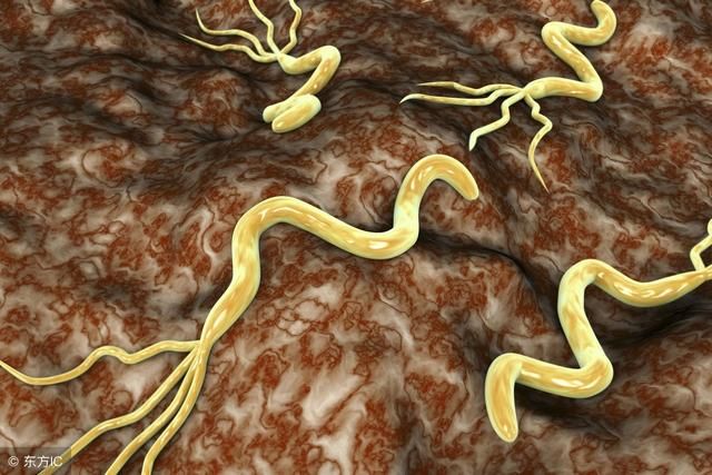 t01b5e7e5e9d454bd22.jpg