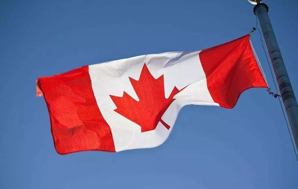 前三个月有885名中国人申请加拿大学签遭拒,你