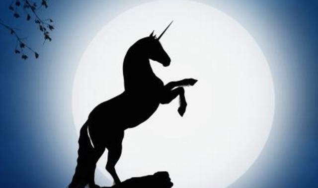 当初烂尾的独角兽基金,逆袭了