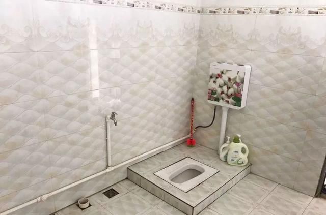 改厨改厕改圈 三改改出乡村发展新面貌