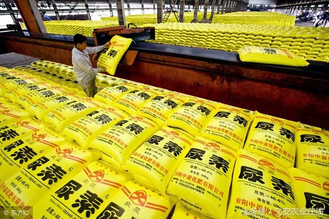 国内尿素市场行情维稳，山东个别小幅调涨10元（附肥价）