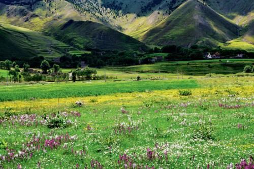 川藏线户外行攻略新都桥