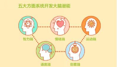 《给孩子的未来脑计划》｜给家长营养、实用的科学养育私家课