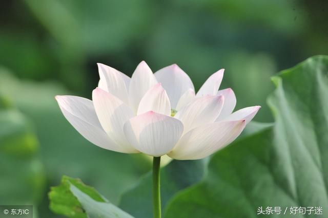 佛说佛语典范语录佛家典范禅语语录句子_人生哲理___.
