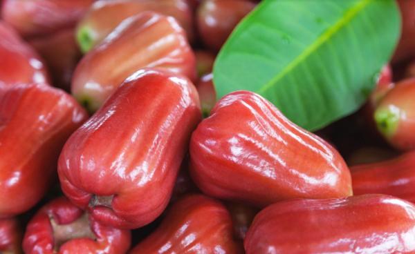 咳嗽痰多老不好?别只会蒸梨吃,常用此果煮水,