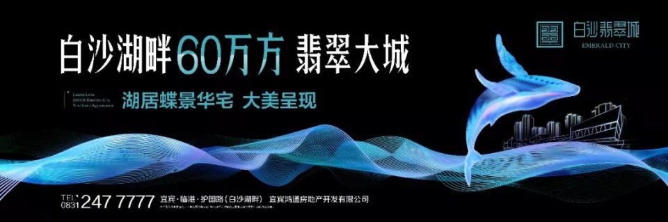 拆4795户!宜宾新村、天池要开发了?棚户区启动改造，新修公立学校