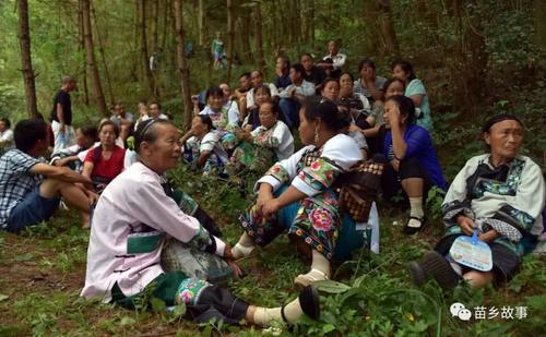 太浪漫了,这一天的苗族男女都进小树林唱苗歌