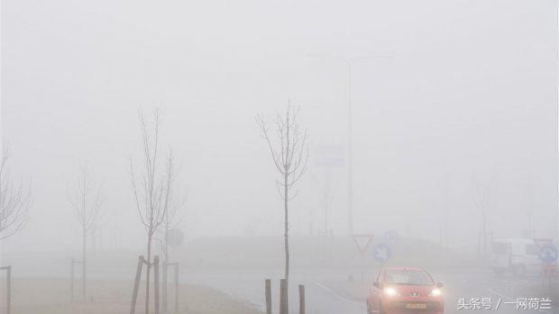 荷兰终日大雾弥漫,航班取消,道路湿滑,今晚情况