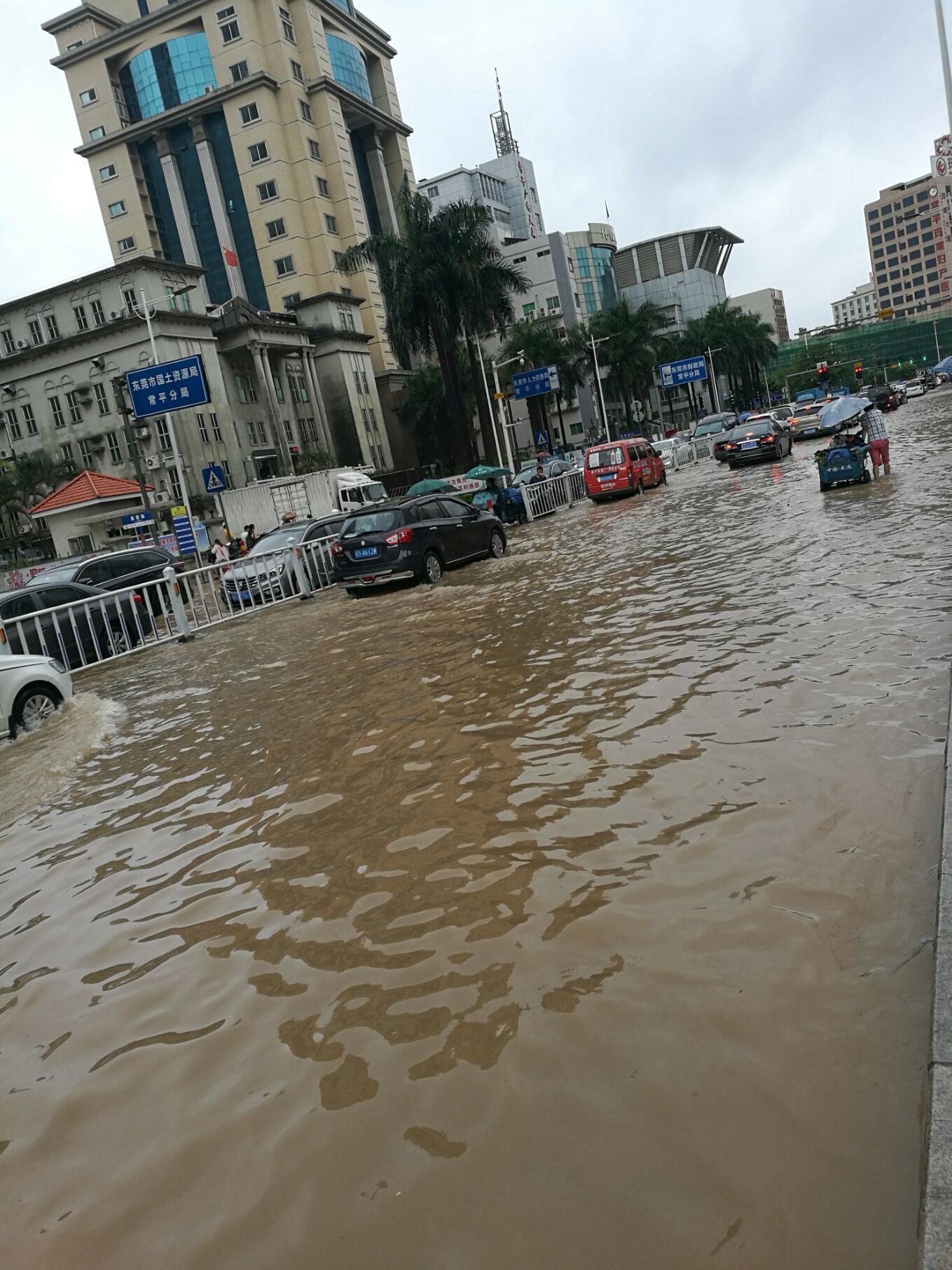 来东莞常平看海，顺便感受一波无良司机的情怀