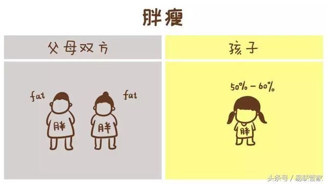 孩子是遗传爸爸多还是妈妈多呢？终于有答案了