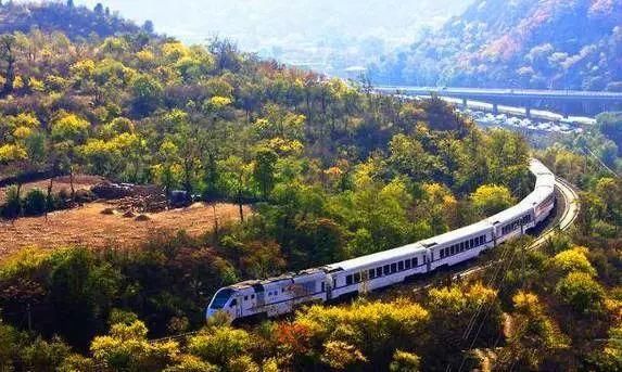 别去日本了！北京这趟6元小火车，带你穿越绝美樱花！沿途风景惊