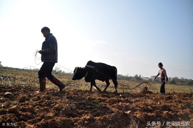 化肥价格的上涨，让农民种地更难了，专家说出了化肥上涨的原因