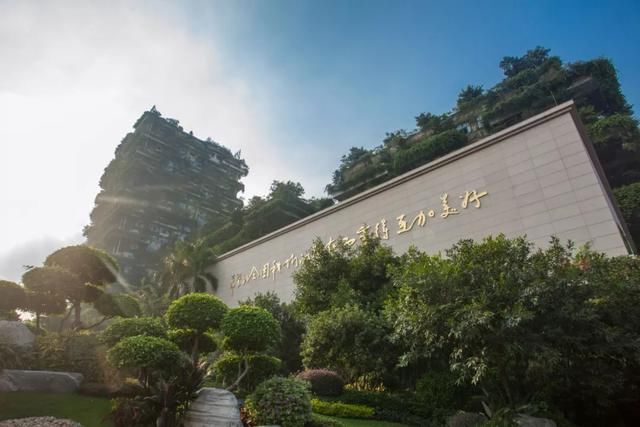 碧桂园再次入选中国民营企业500强,排名升至第