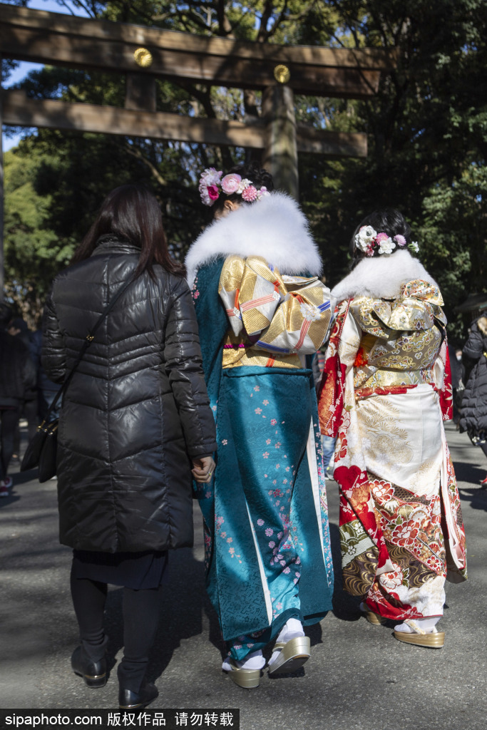 如花!日本明治神宫举行成人礼 年轻女孩身穿和服拍照
