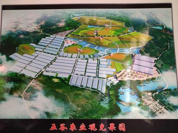 探访小村蝶变\＂四重曲\＂ \＂美丽岩头\＂绘就婺城乡村样板