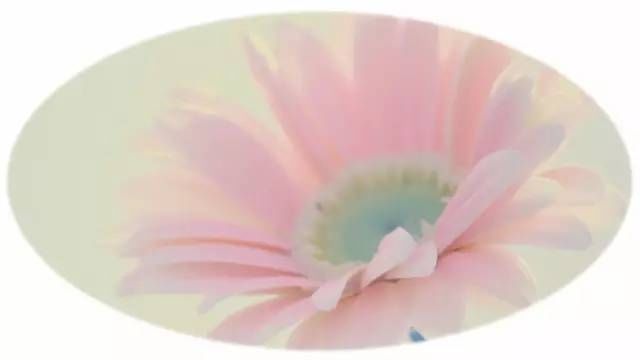 幼儿园秋季招生营销方案全攻略!