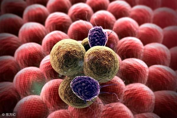 色素瘤致死率 t01b880921a8b11b597.jpg