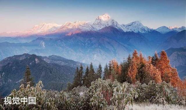 东南沿海5A级大山怪石惊艳 属于福建却离浙江