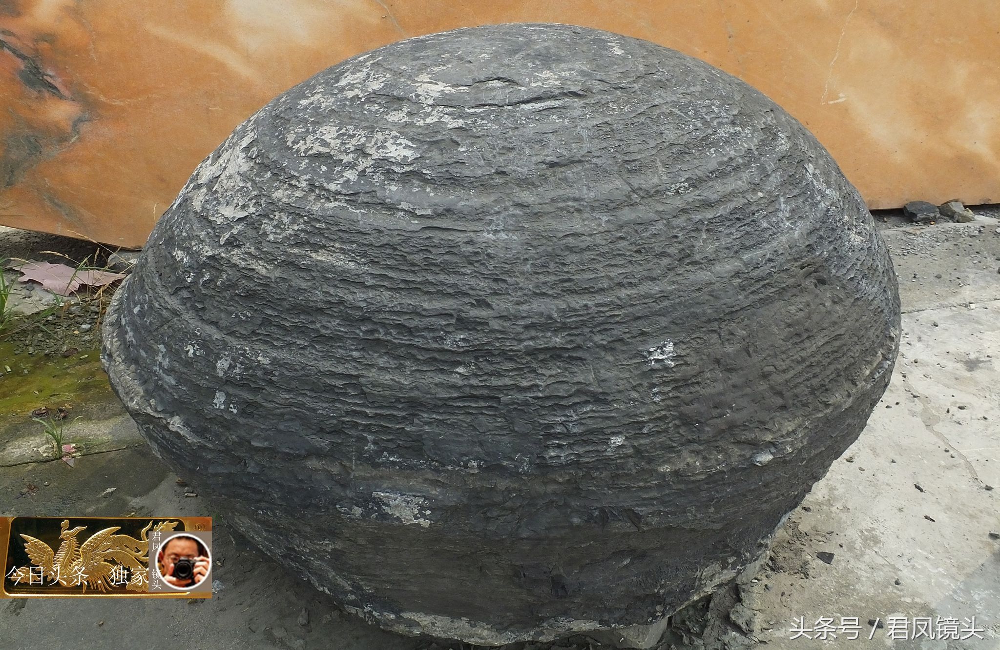 奇石摄影:园林景观石长相奇异!“大展宏图”售价580万元!