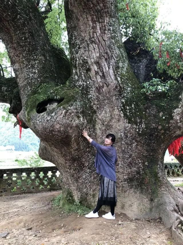 江西风景独好|五一劳动节带你去旅行记:游世界