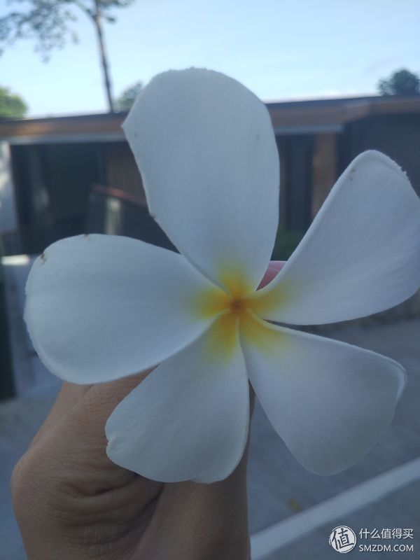 酒店民宿控之住店记录 篇十四:普吉岛Amari酒店