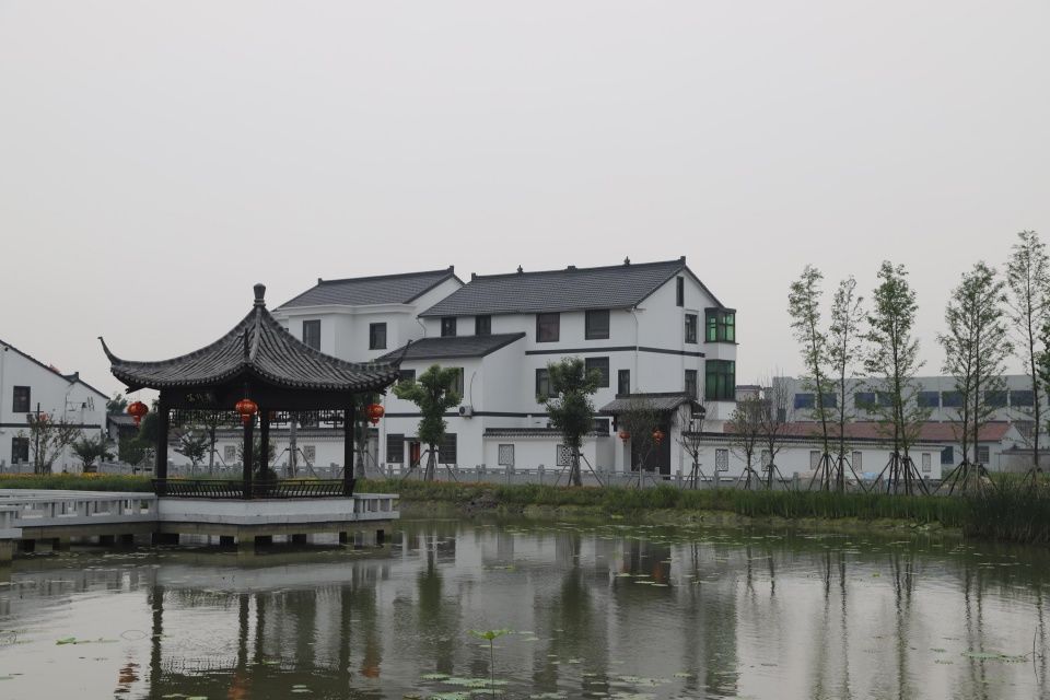 实拍浙江奢华农村户户豪宅,出门有公园,垃圾全分类