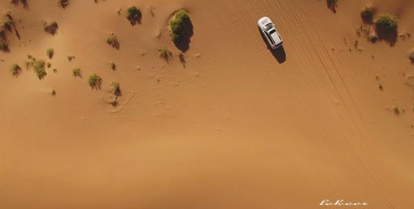 荒漠也不是荒漠了