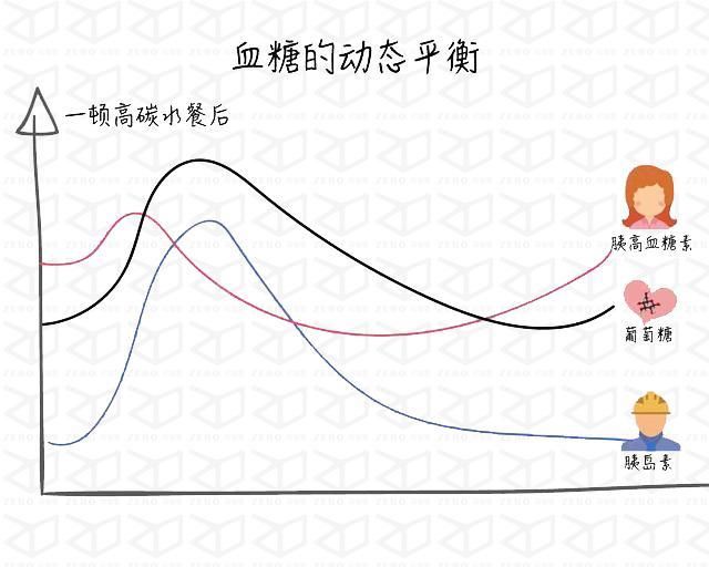 瘦身的原理_揭秘风靡日本的氨基酸减肥法