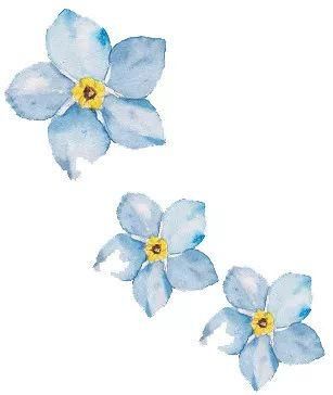 工作动态丨正安县检察院编发涉企案件典型案例