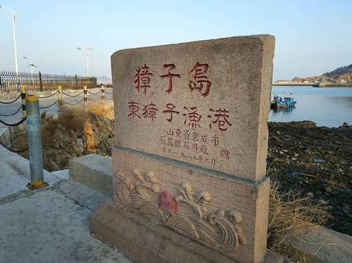 獐子岛扇贝为什么死