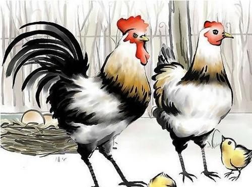 生肖鸡，今年是非小人很多，以免陷入感情上的是非纠缠哦！