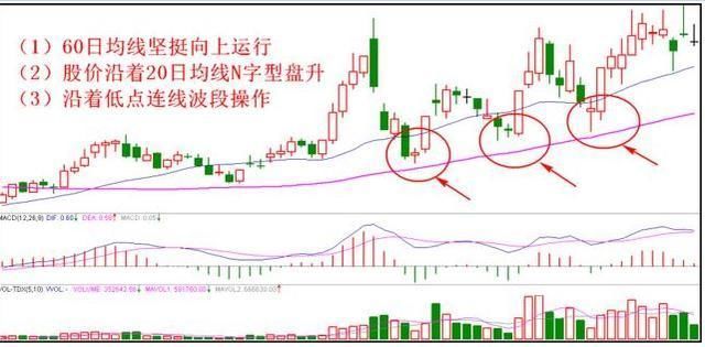 中国股市的本质：散户唯有选股才能存活下去!