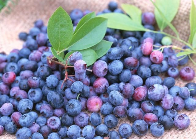 你买过火车上推销的新疆特产蓝莓李果吗
