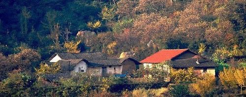 随州 湖北最年轻的地级市