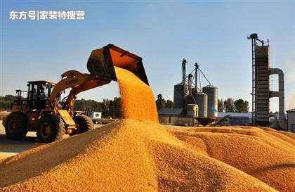 中国作为农业大国，为什么每年还要进口大量粮食？答案不简单