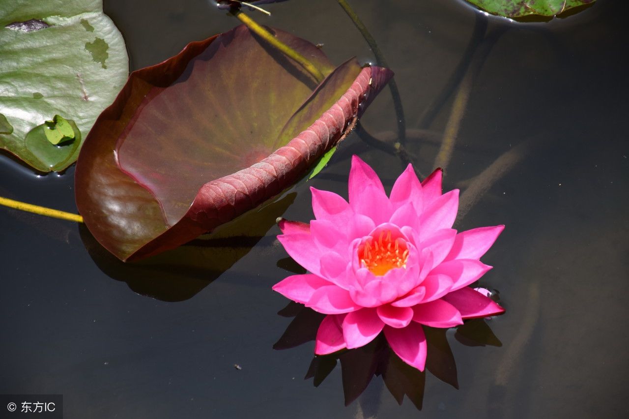 最新出炉俏皮话,太精辟,太幽默了,发给朋友乐一