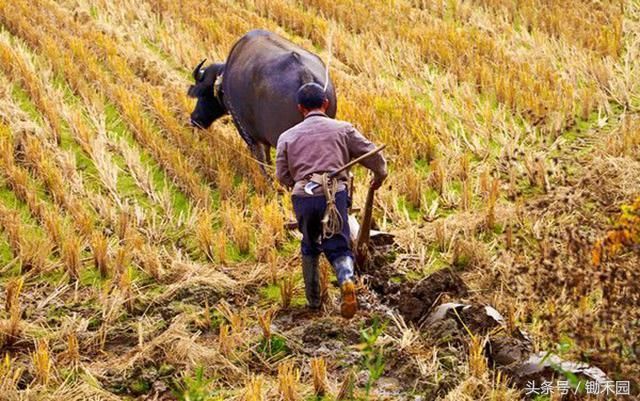2018年低保审核会很严,那些身份有嫌疑的贫困