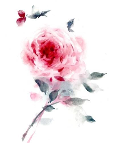 心理测试:选1朵你最喜欢的花,测你会留给别人什么样的第一印象