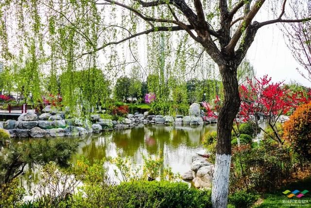春满中国 醉西安｜春游好去处：在临潼度假区芷阳广场听见花开的