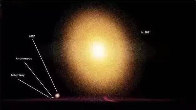 你根本不了解这个星球：地球上曾活过1150亿人