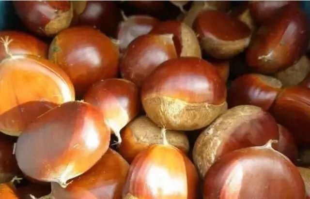 不输九寨沟!沈阳周边这10个地方美到令人窒息